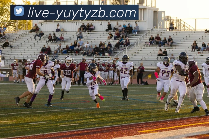 多媒体互动体验